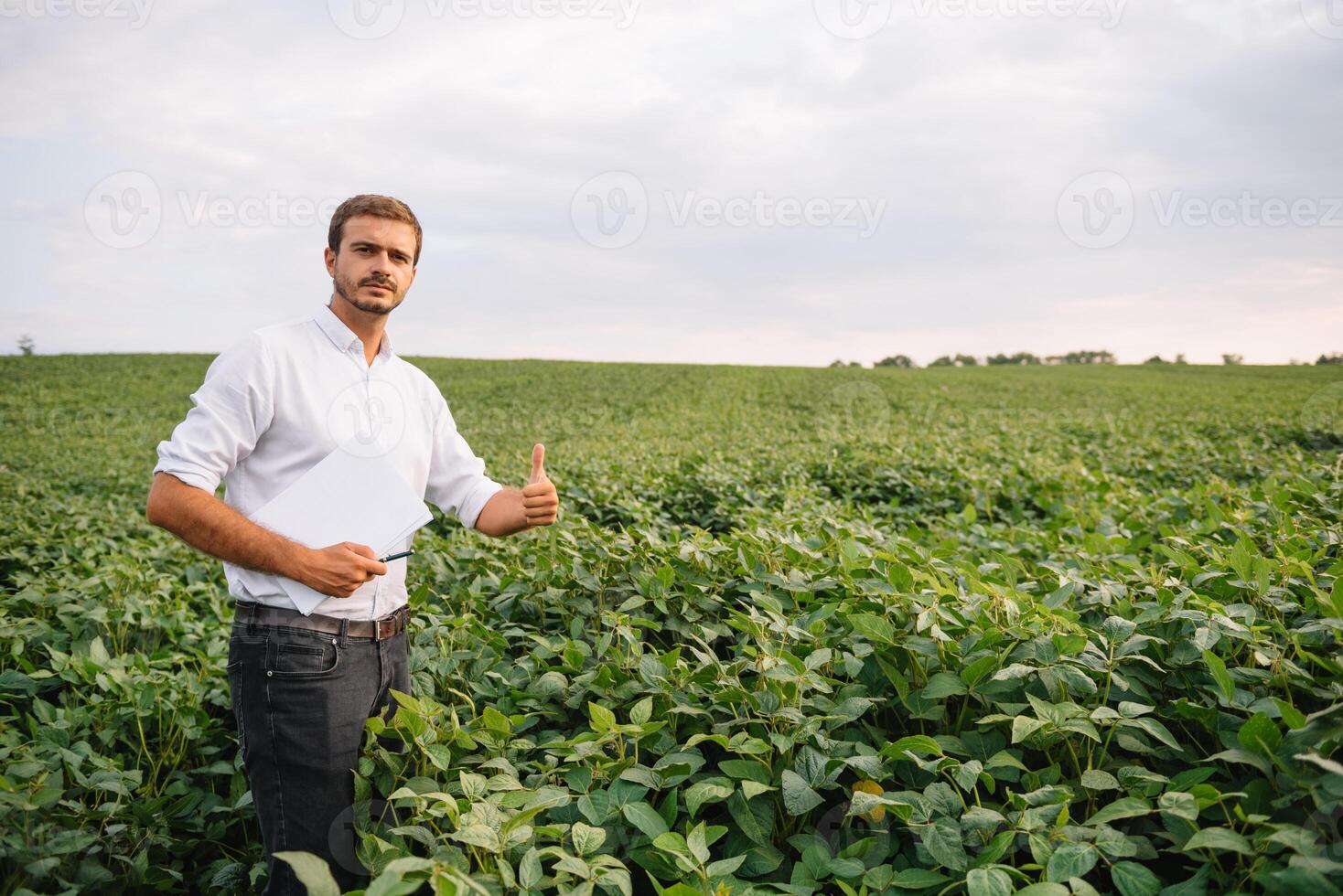 Portrait of young farmer standing in soybean field. photo