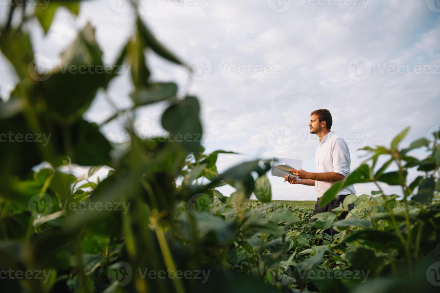 joven granjero en archivado examinando haba de soja corp. él es pulgares arriba foto