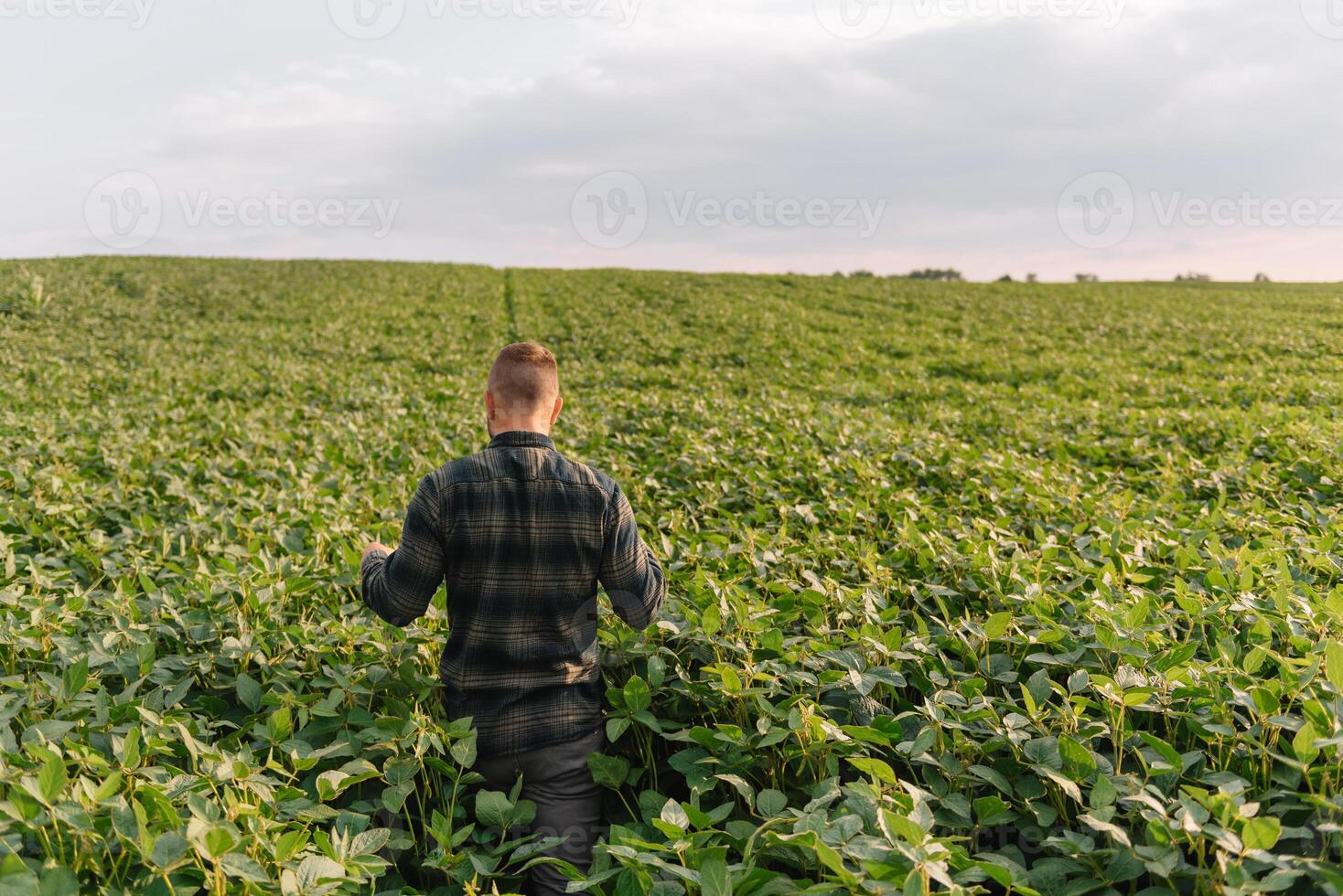 young farmer engineer standing on wheat field photo