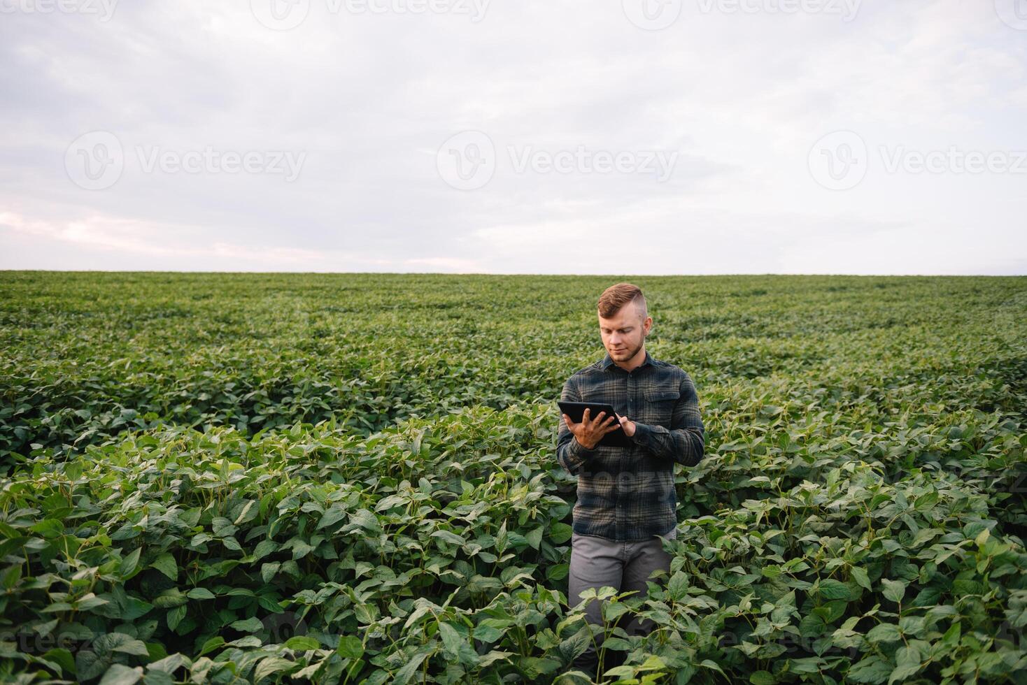 joven agrónomo sostiene tableta toque almohadilla computadora en el soja campo y examinando cultivos antes de cosecha. agronegocios concepto. agrícola ingeniero en pie en un soja campo con un tableta en verano. foto