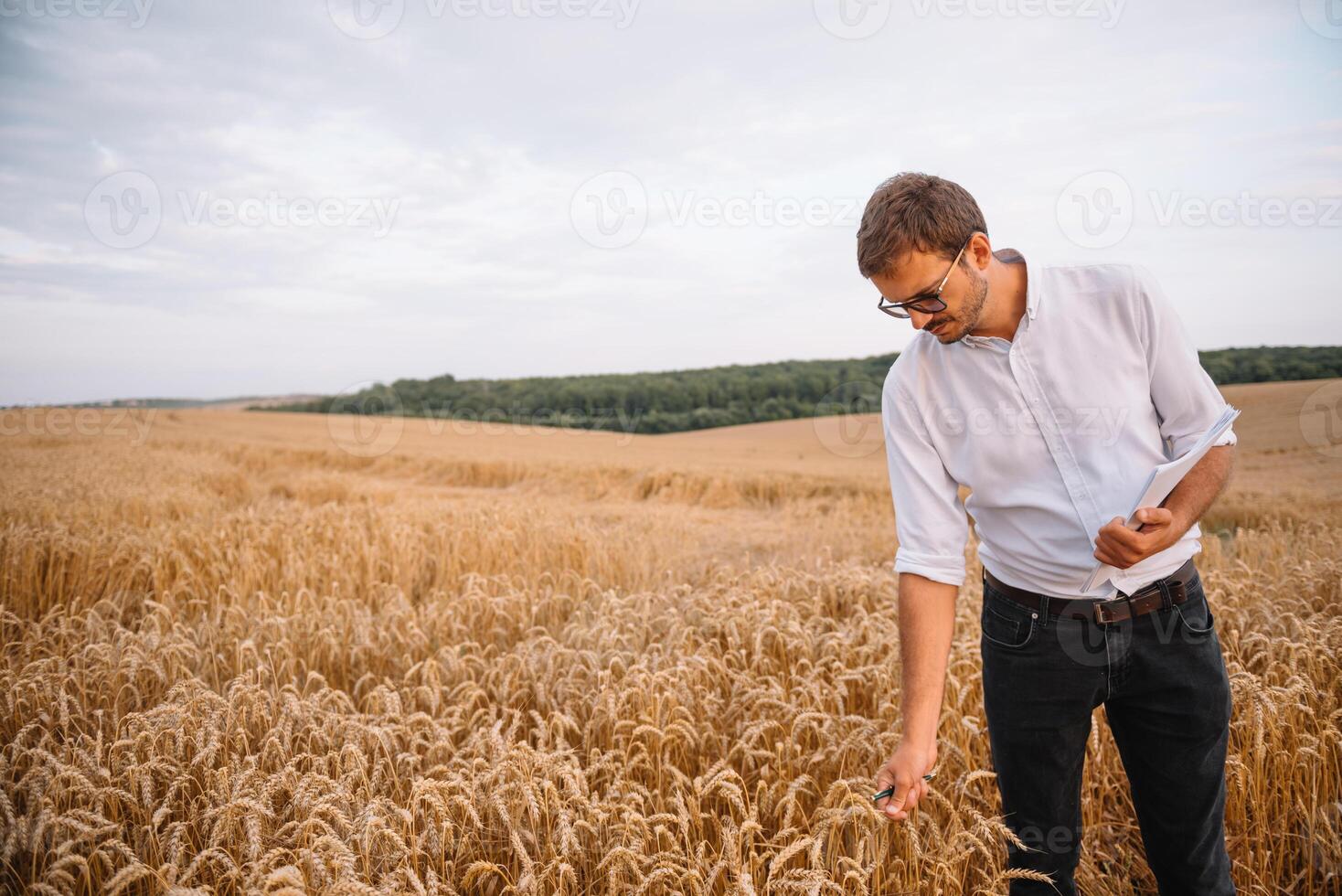 joven granjero ingeniero en pie en trigo campo. foto