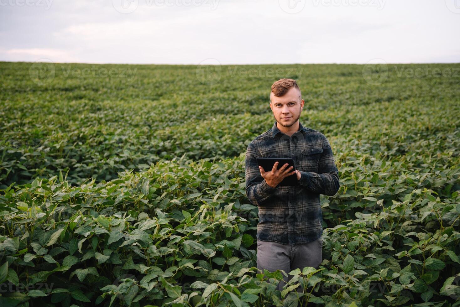 Young agronomist holds tablet touch pad computer in the soy field and examining crops before harvesting. Agribusiness concept. agricultural engineer standing in a soy field with a tablet in summer. photo
