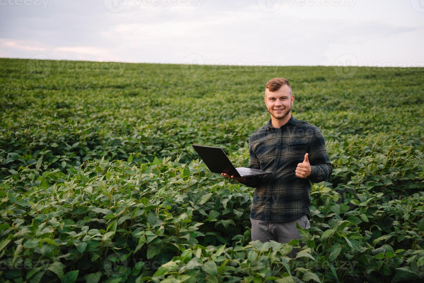 Young agronomist holds tablet touch pad computer in the soy field and examining crops before harvesting. Agribusiness concept. agricultural engineer standing in a soy field with a tablet in summer. photo