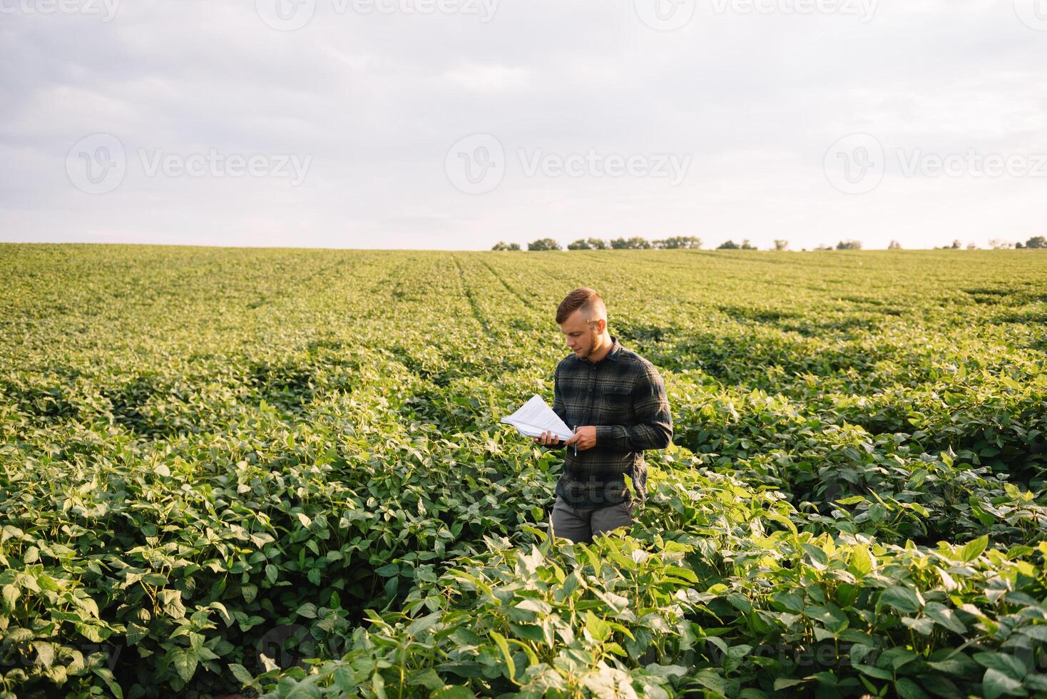 retrato de joven granjero en pie en haba de soja campo. foto