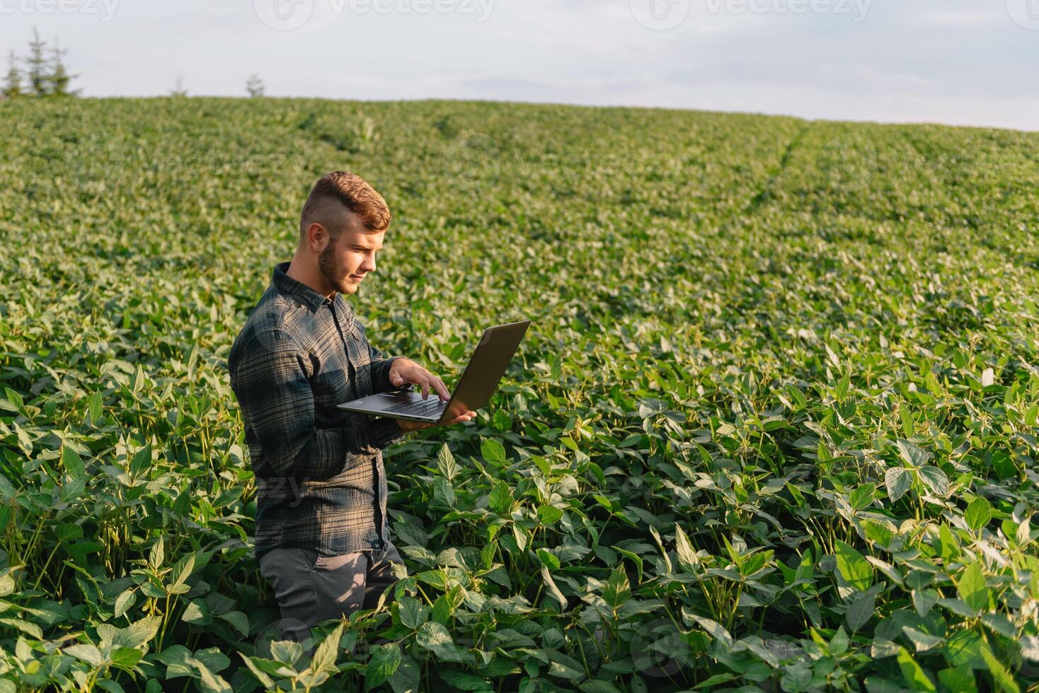 Young agronomist holds tablet touch pad computer in the soy field and examining crops before harvesting. Agribusiness concept. agricultural engineer standing in a soy field with a tablet in summer. photo