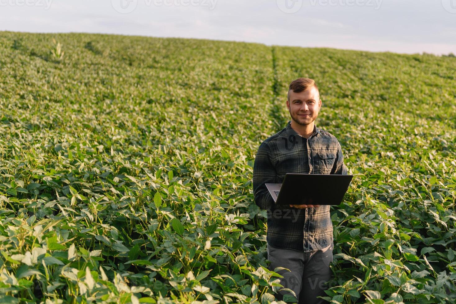 Agronomist inspecting soya bean crops growing in the farm field. Agriculture production concept. Agribusiness concept. agricultural engineer standing in a soy field photo