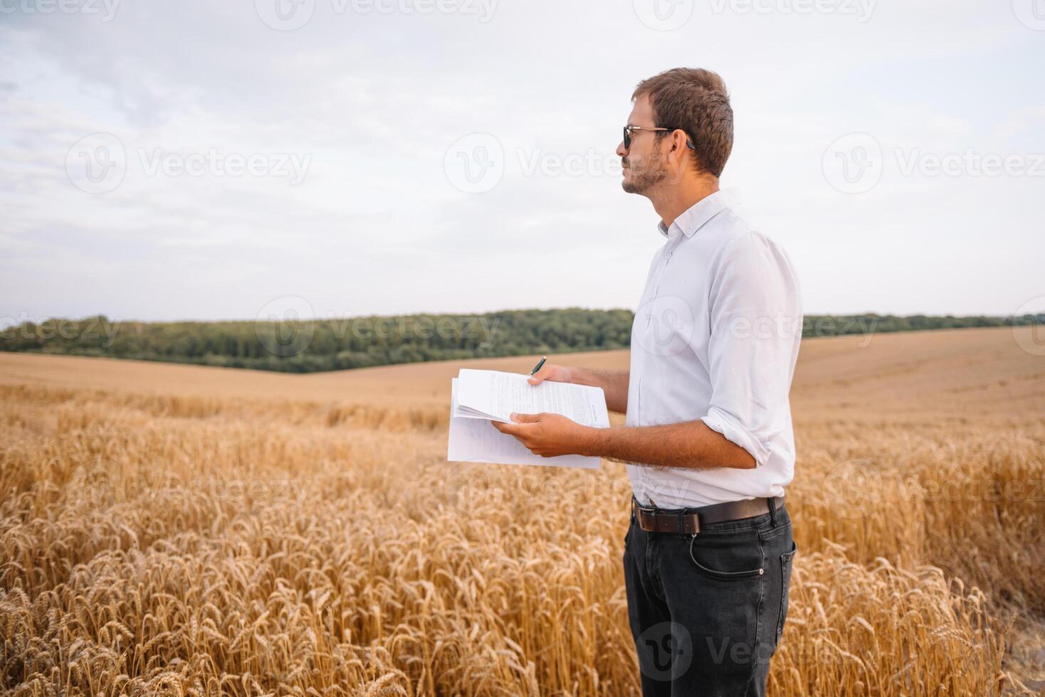 young farmer engineer standing on wheat field photo