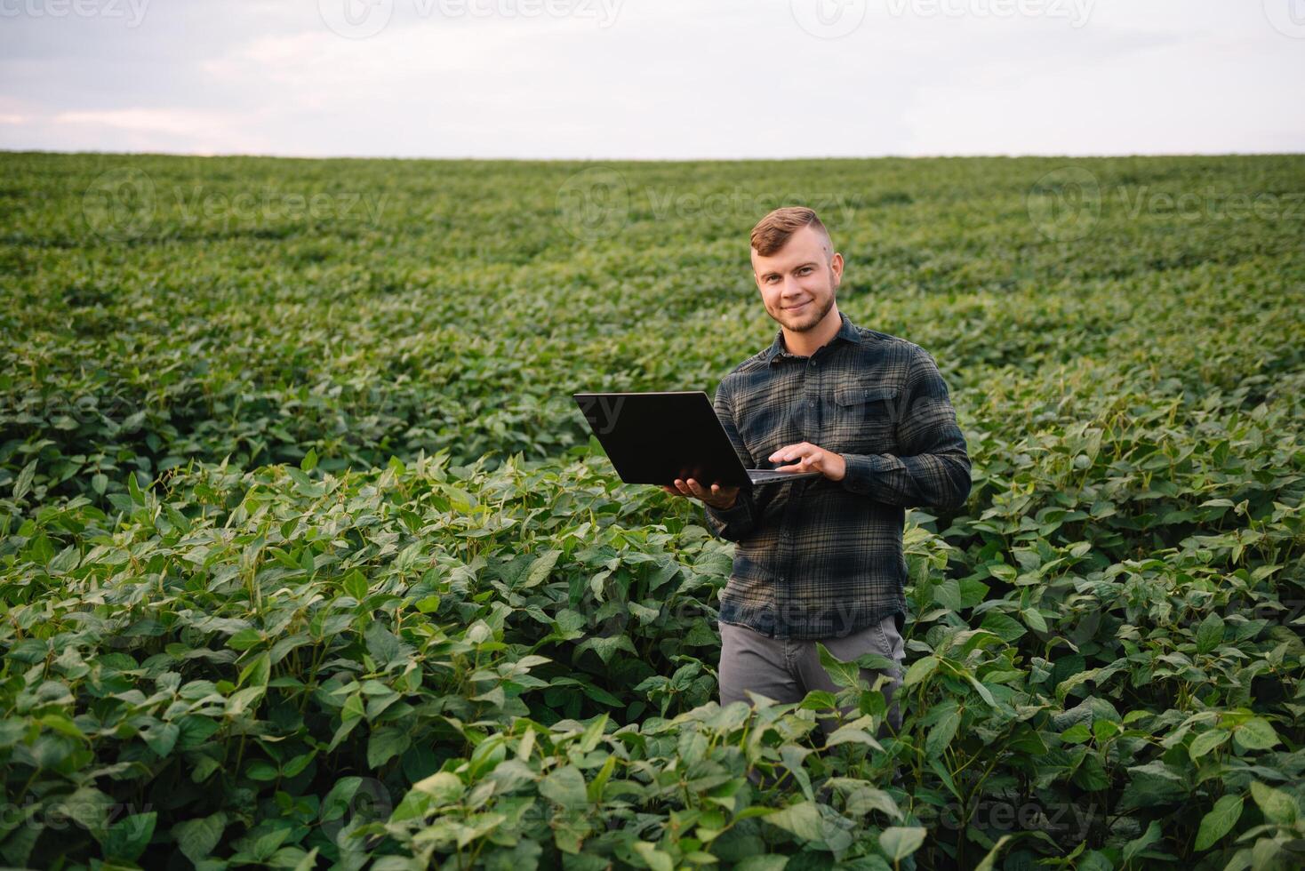 joven agrónomo sostiene tableta toque almohadilla computadora en el soja campo y examinando cultivos antes de cosecha. agronegocios concepto. agrícola ingeniero en pie en un soja campo con un tableta en verano. foto