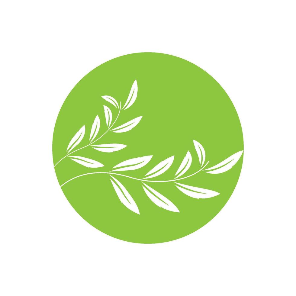 green leaf logo design icons vector