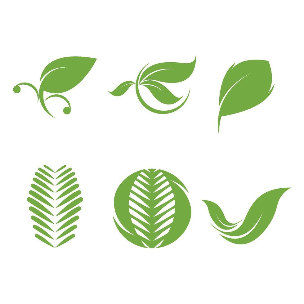 green leaf logo design icons vector
