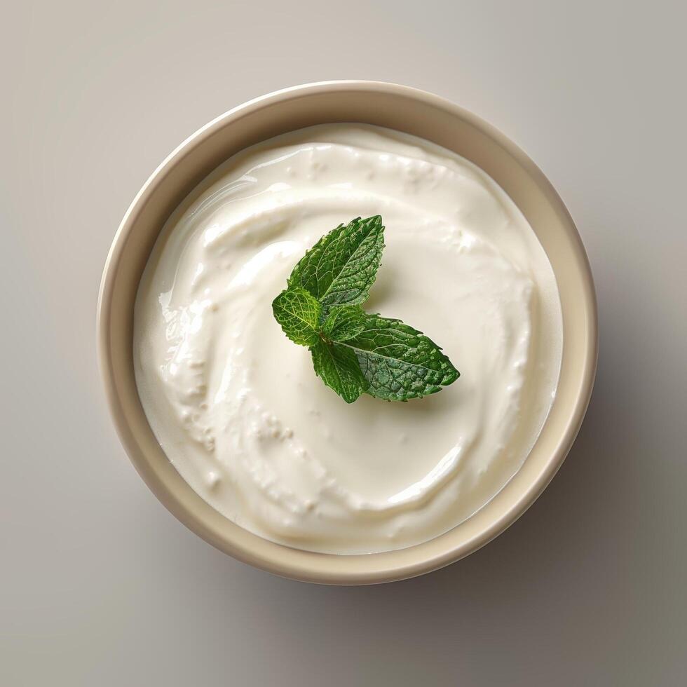 Yogurt with Mint Garnish photo