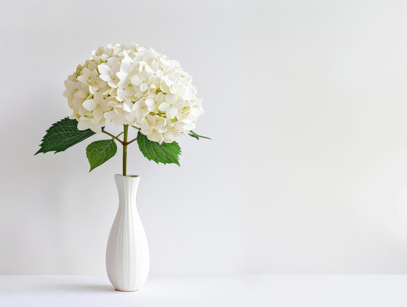 Single Hydrangea Blossom in Vase photo