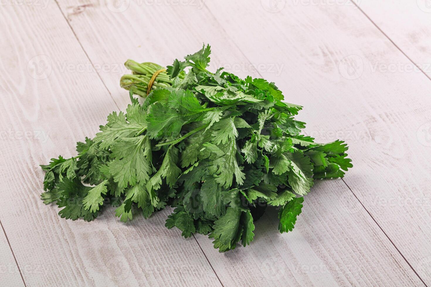 Fresh green cilantro branches heap photo