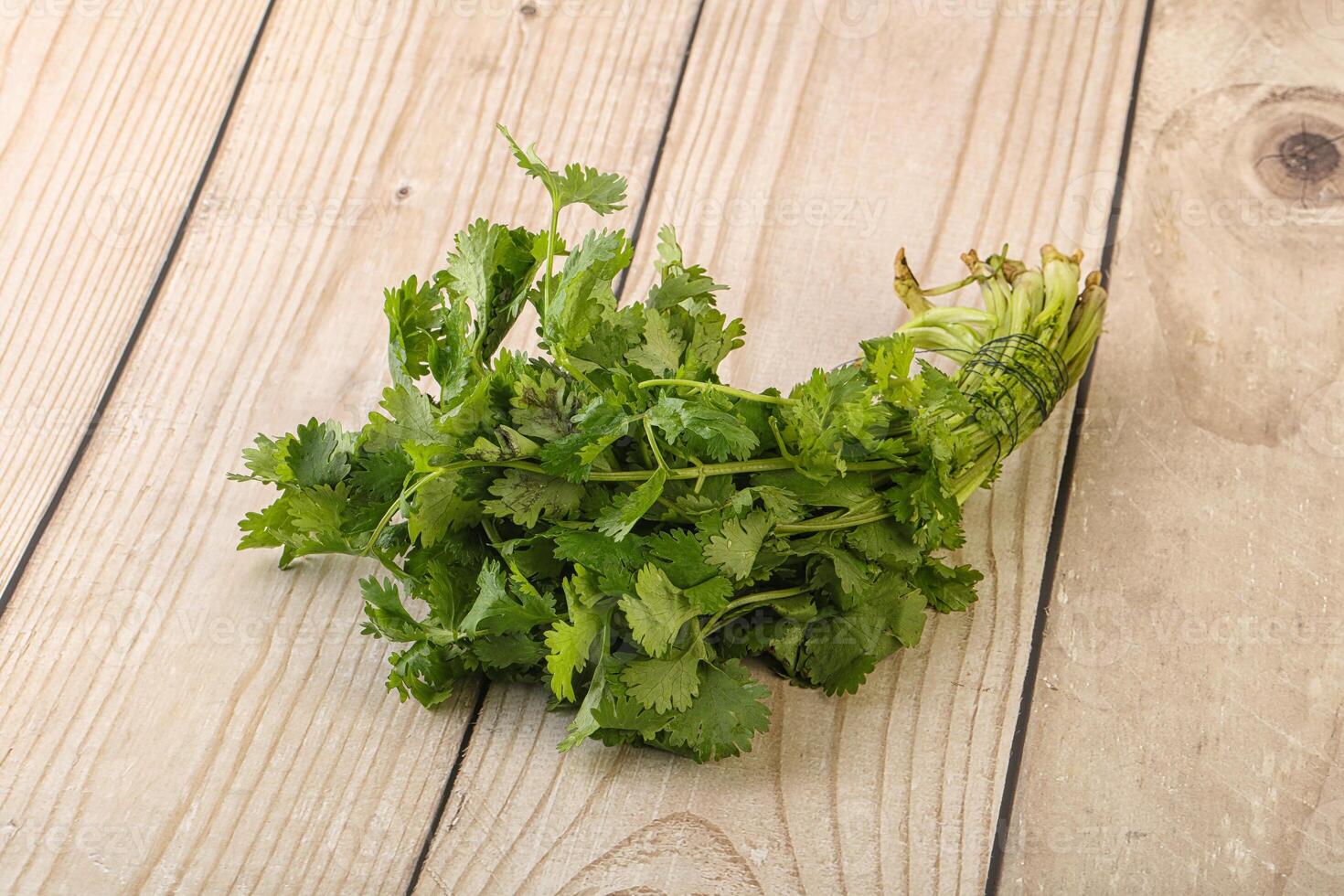 Green coriander leaves herb heap photo