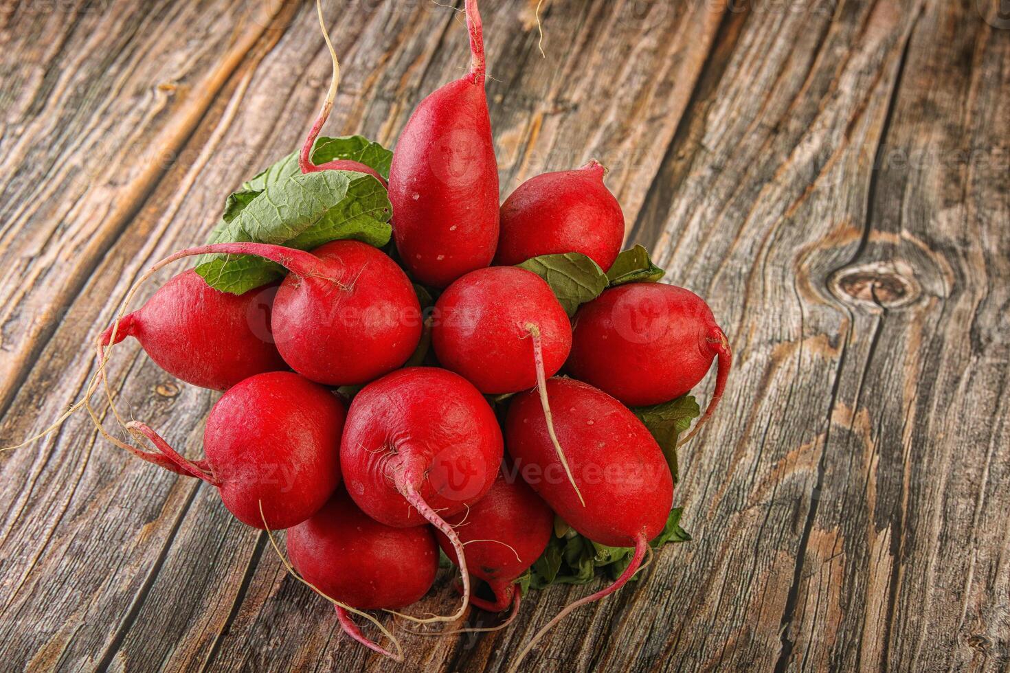 Heap ripe fresh red radish photo