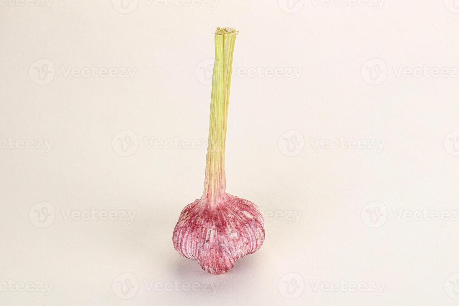 Young fresh garlic for cooking photo