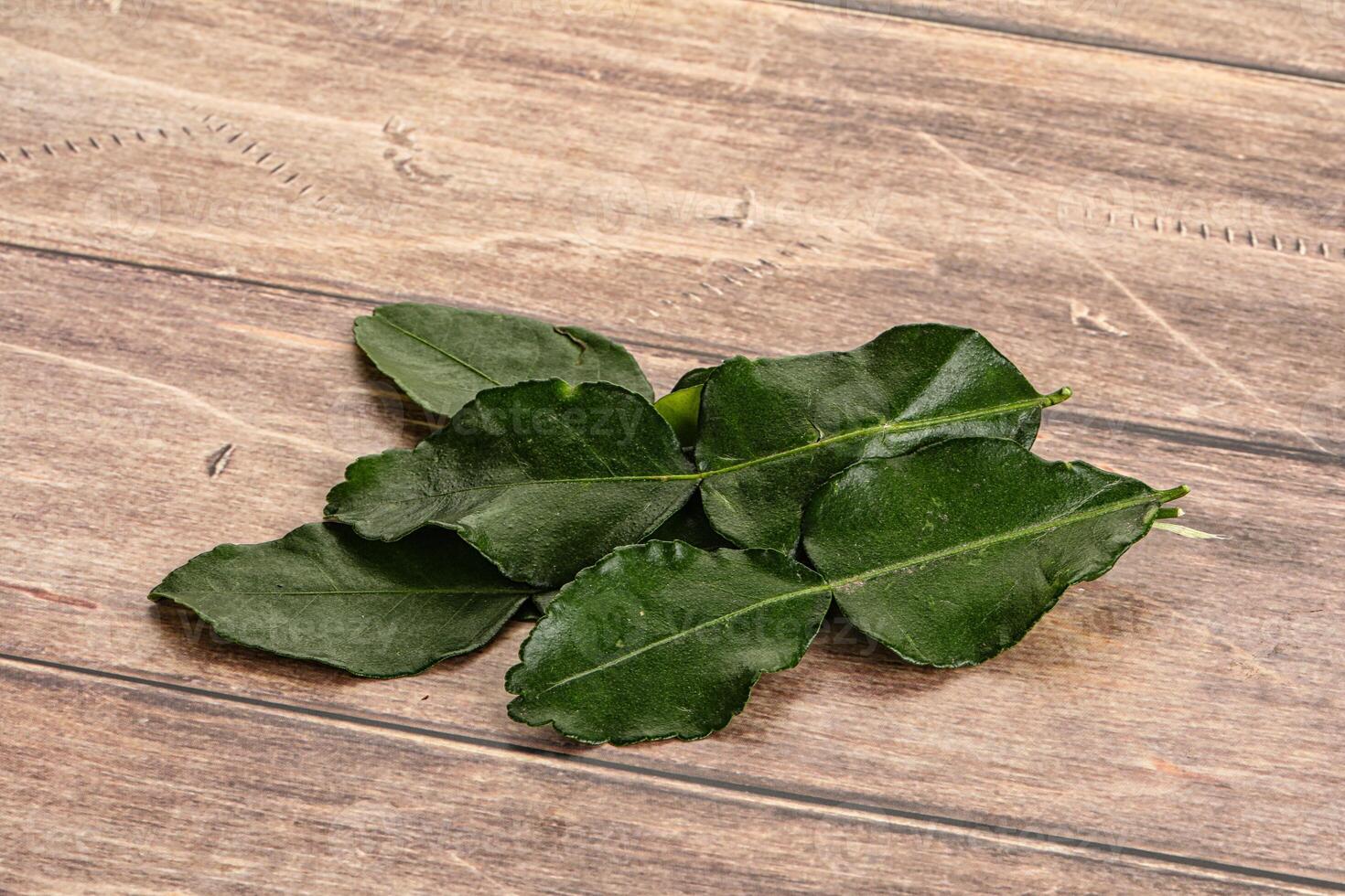 Aroma seasoning kaffir lime leaves photo