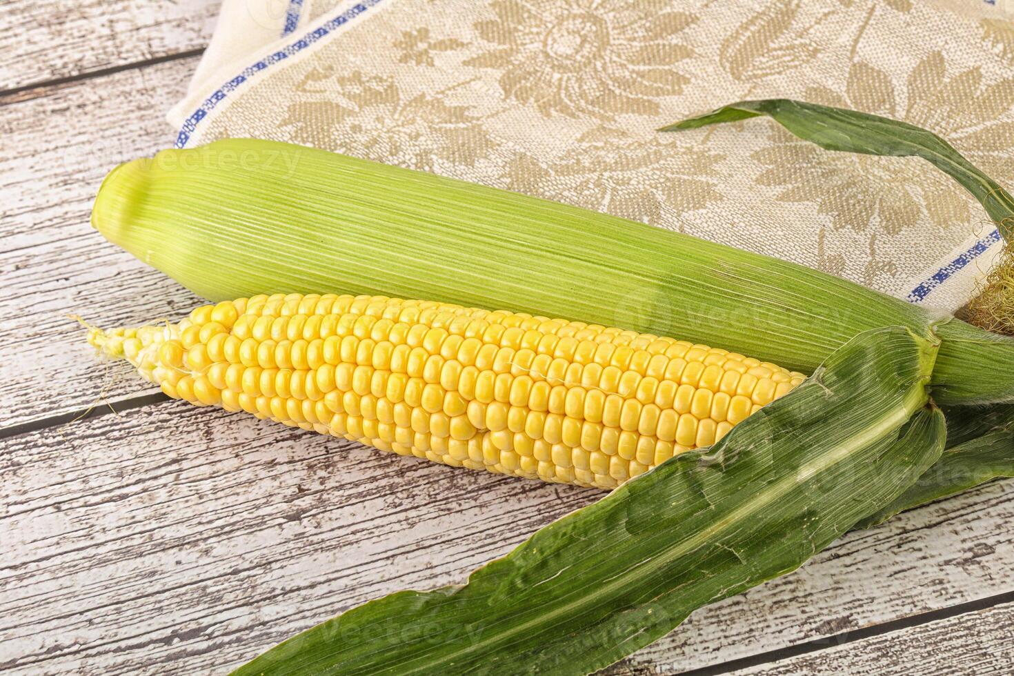 Yellow sweet raw cob corn photo