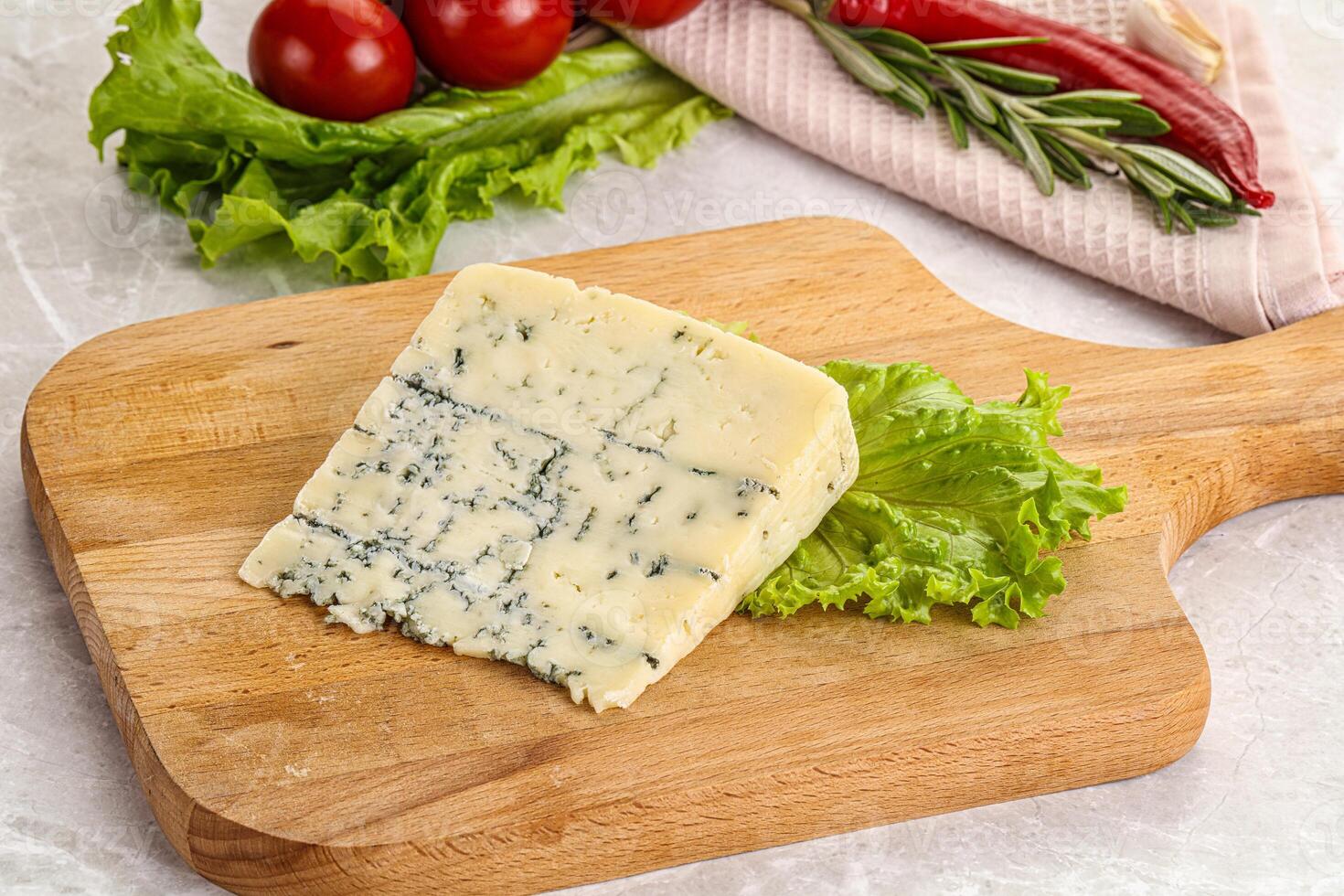 Gourmet blue cheese with mold photo