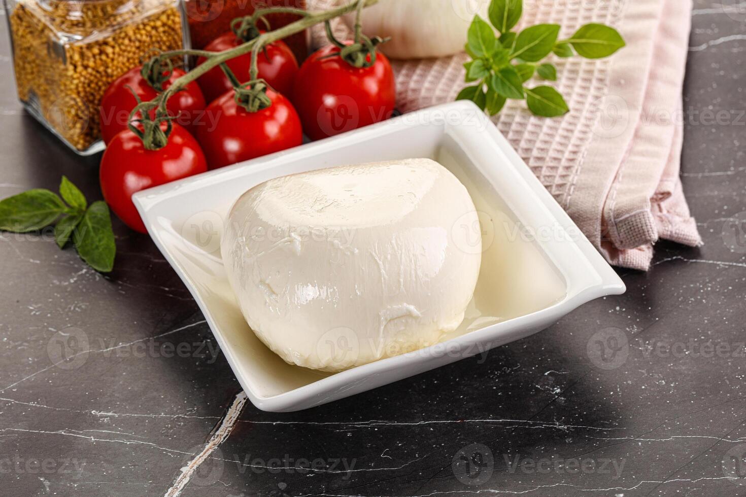 Italian cheese mozzarella buffalo ball photo