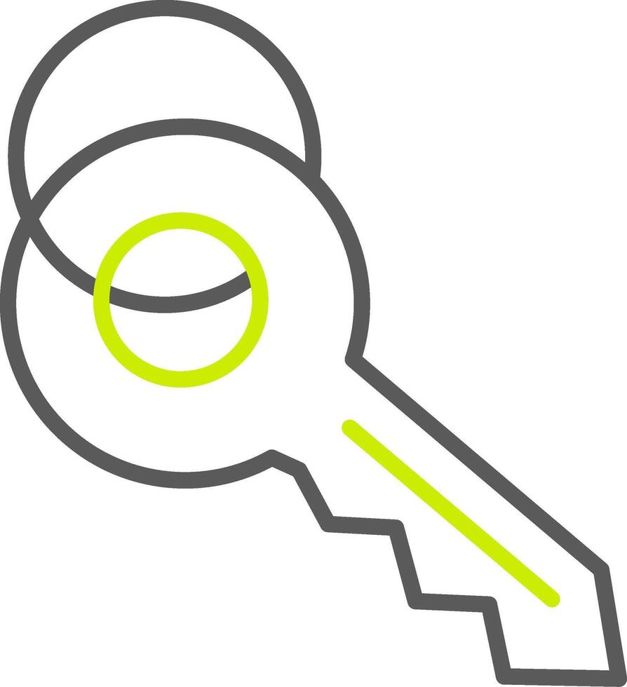 Key Line Two Color Icon vector