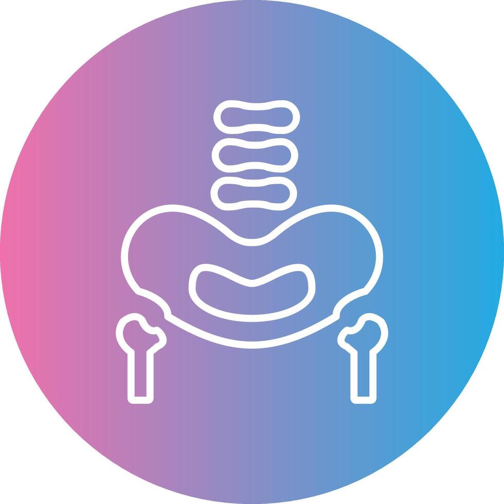 Pelvic Bone Line Gradient Circle Icon vector