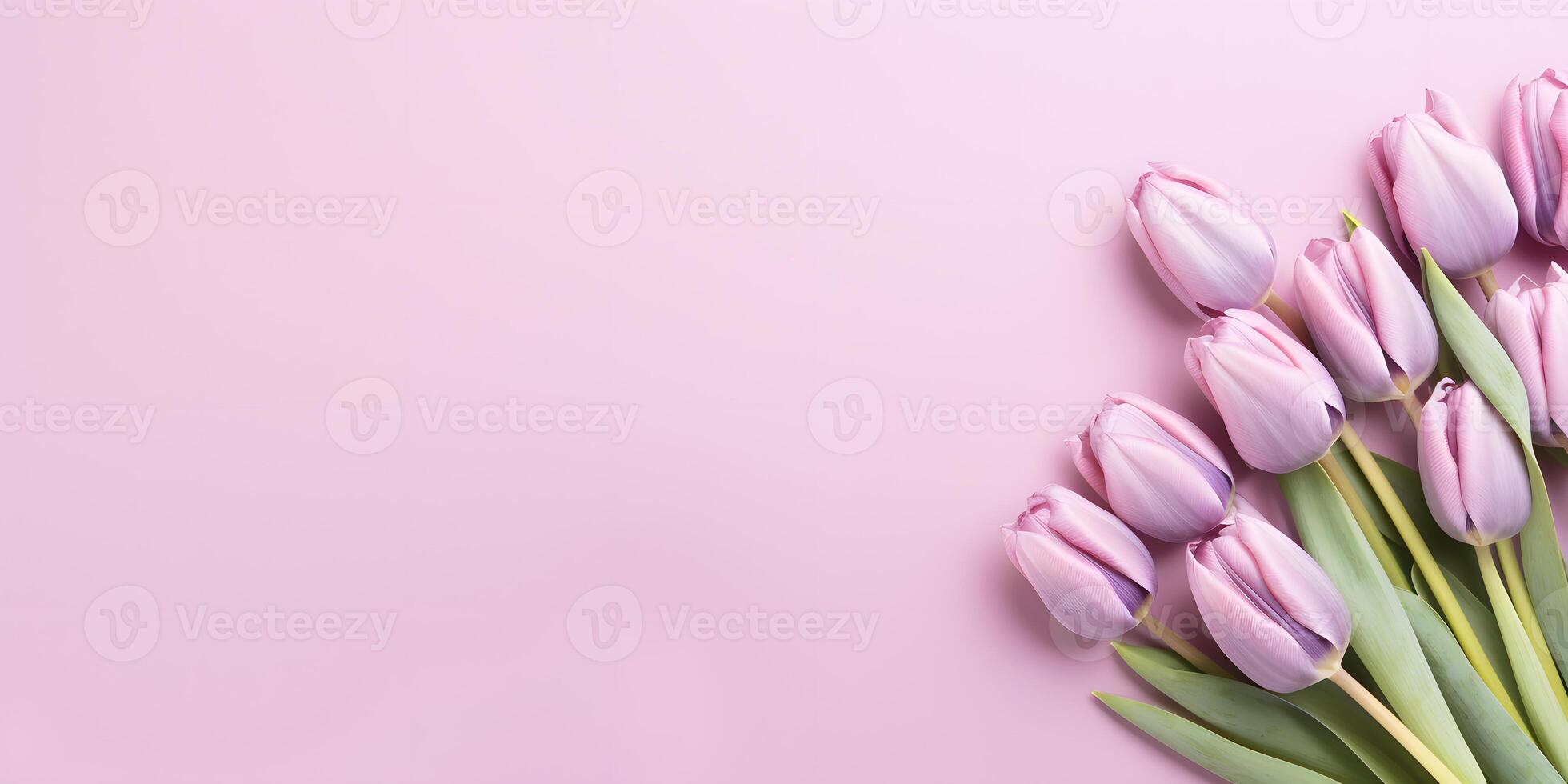 Bouquet of lilac tulips on lilacbackground, top view, with copy space for text. Greeting card for Valentine's Day, Woman's Day, Mothers day photo
