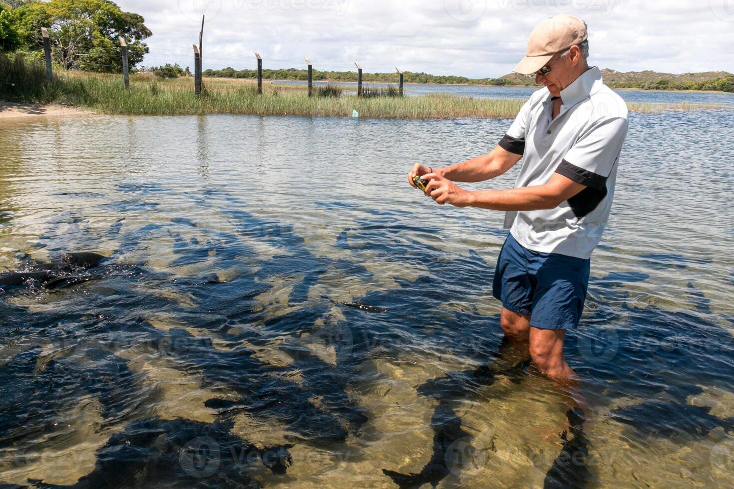 Man taking pictures of a bunch fish swimming around him in a river in Brazil photo