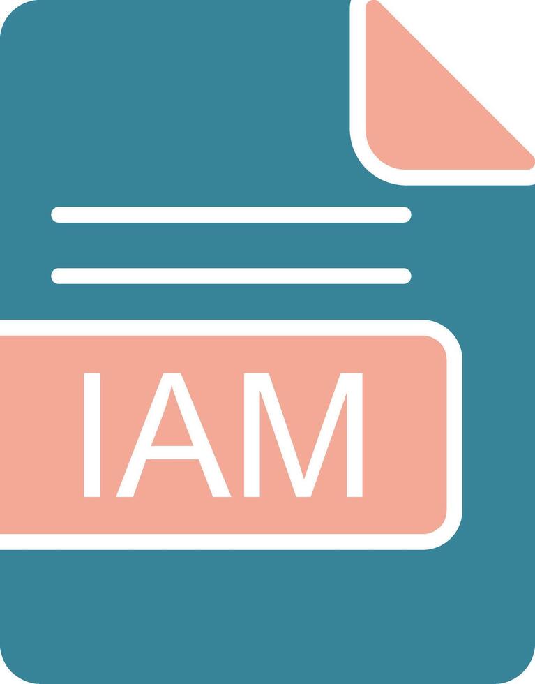 IAM File Format Glyph Two Color Icon vector