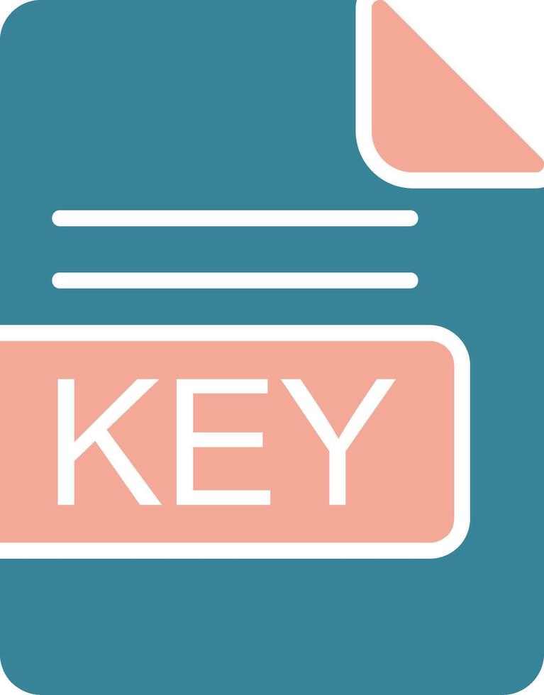 KEY File Format Glyph Two Color Icon vector