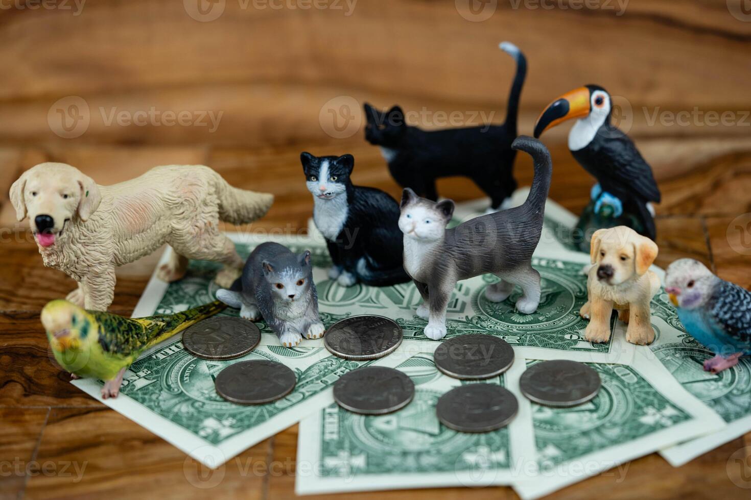 how expensive is a pet photo