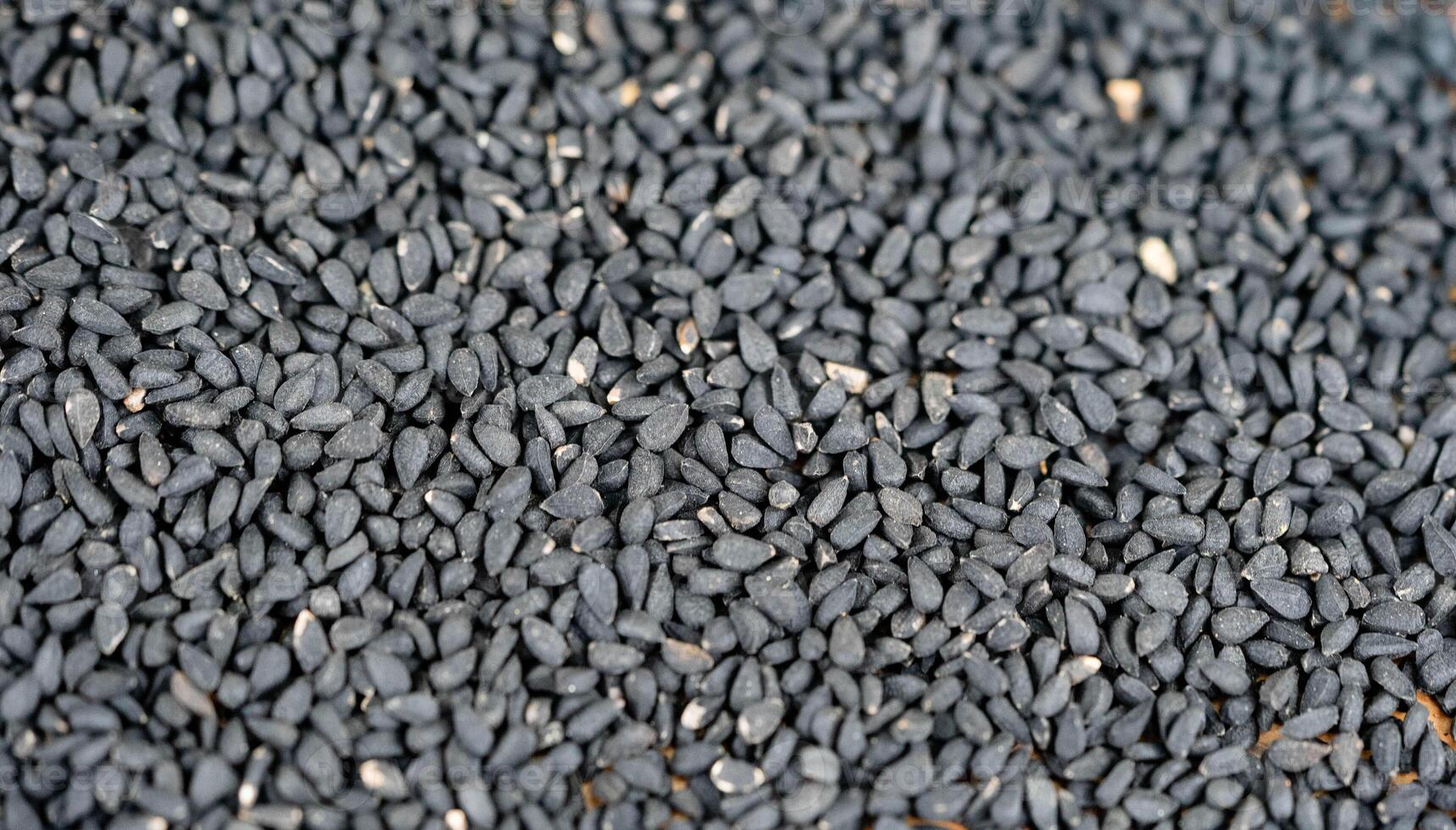 the roman coriander nigella sativa on olive wood photo