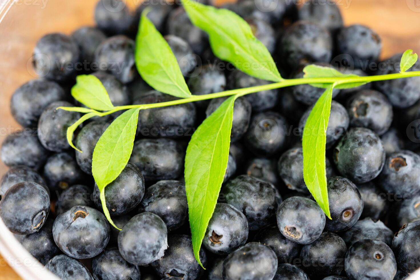 freshly picked blueberries on olive wood photo