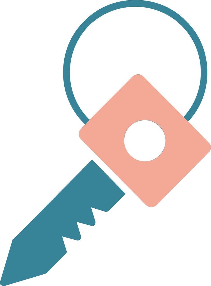 Key Glyph Two Color Icon vector