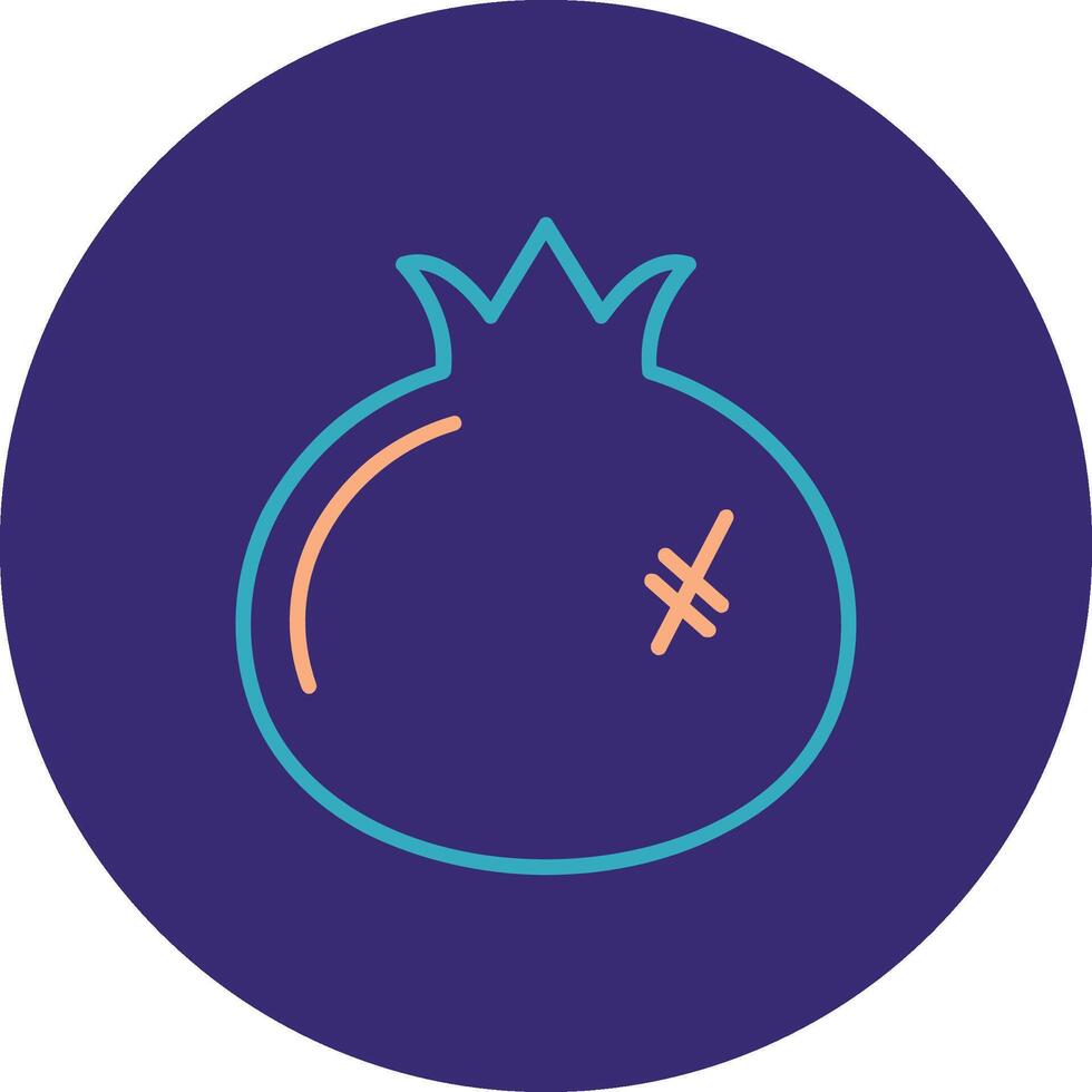Pomegranate Line Two Color Circle Icon vector