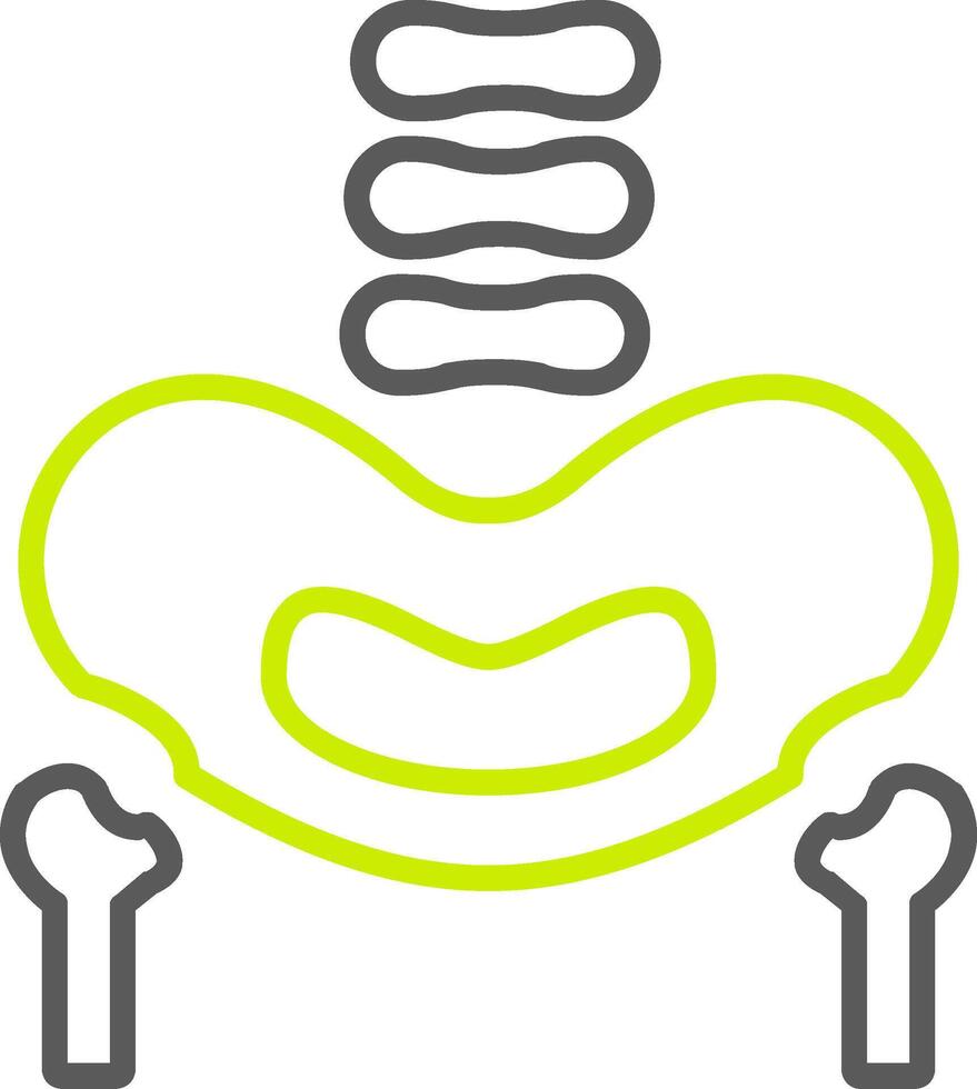 Pelvic Bone Line Two Color Icon vector