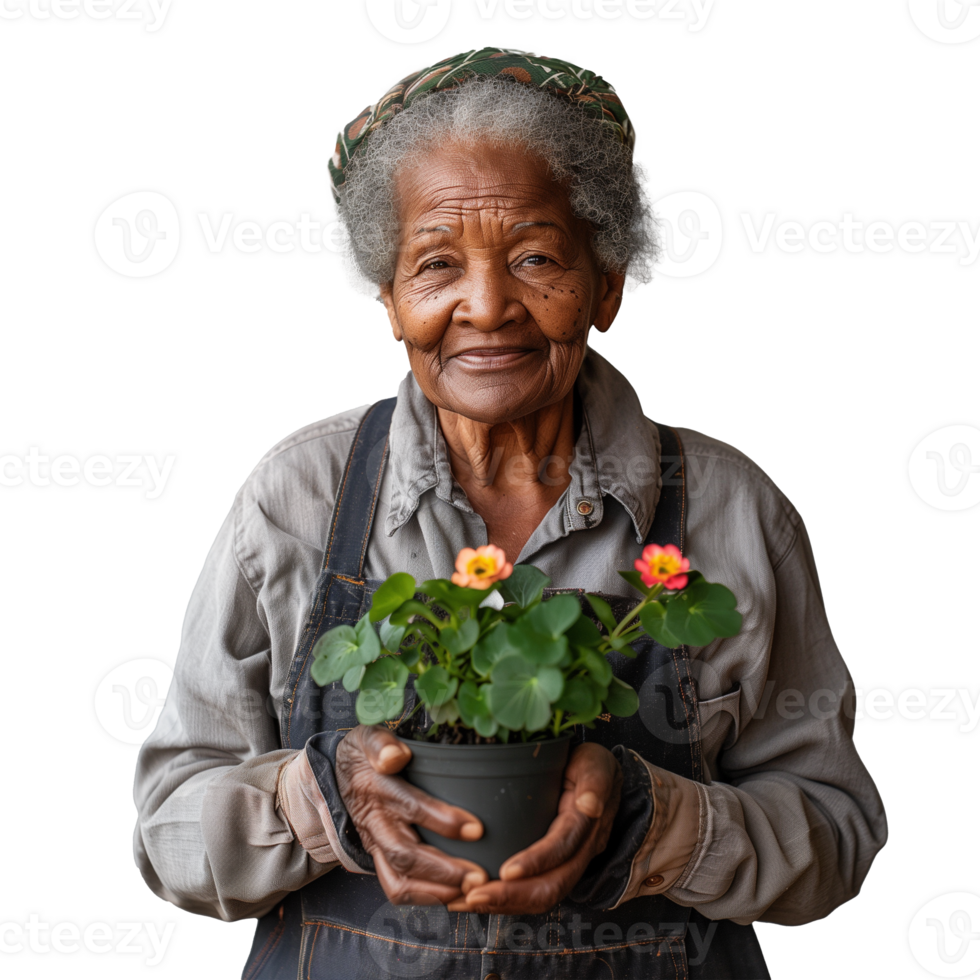 Elderly woman smiling while holding a potted plant png