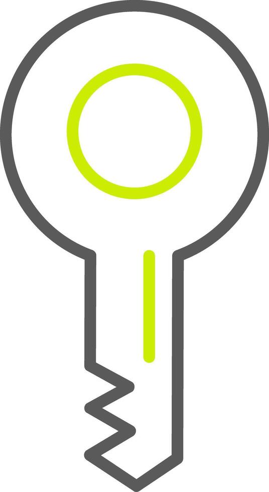 Key Line Two Color Icon vector