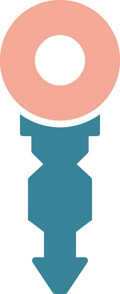 Key Glyph Two Color Icon vector