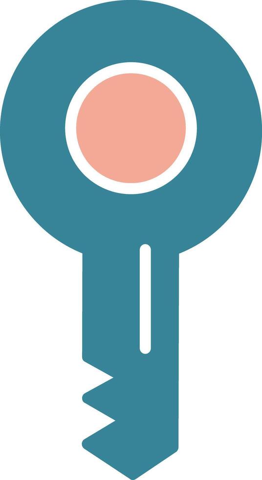 Key Glyph Two Color Icon vector