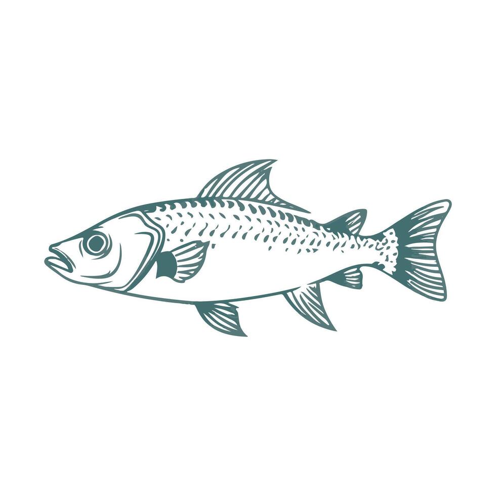 fish draw for t shirt design vector