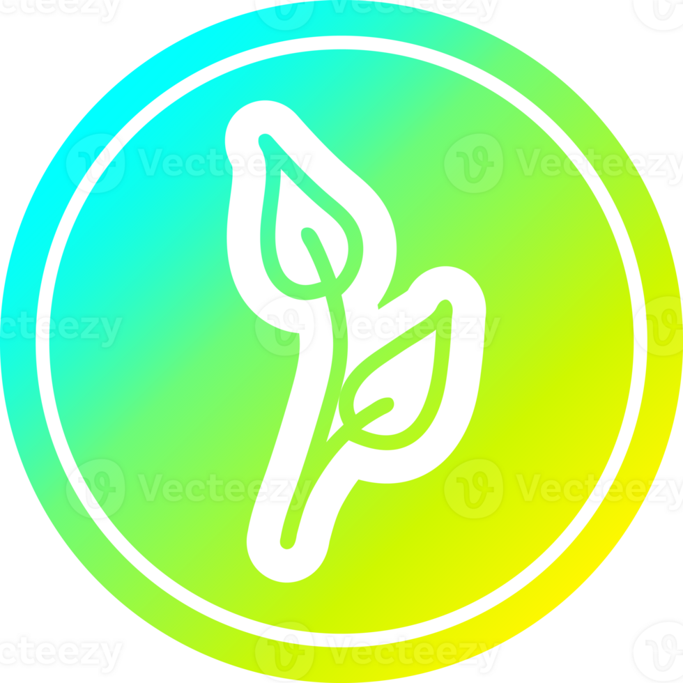 natural leaf circular icon with cool gradient finish png