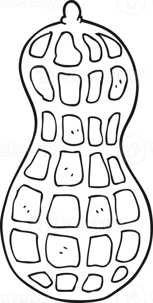 hand drawn black and white cartoon peanut png