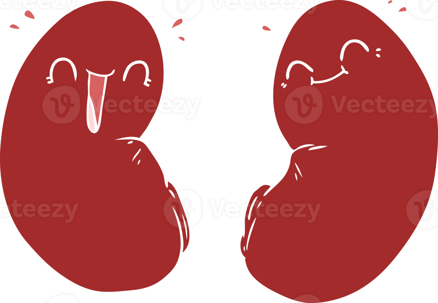 flat color style cartoon happy kidneys png