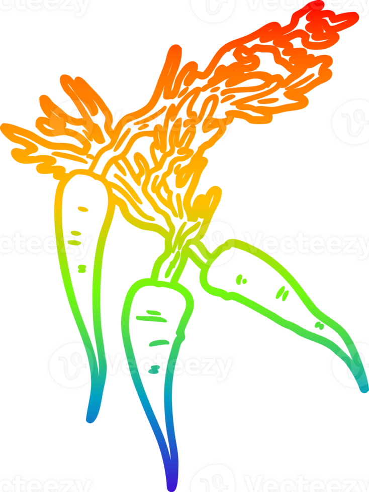 rainbow gradient line drawing cartoon carrots png