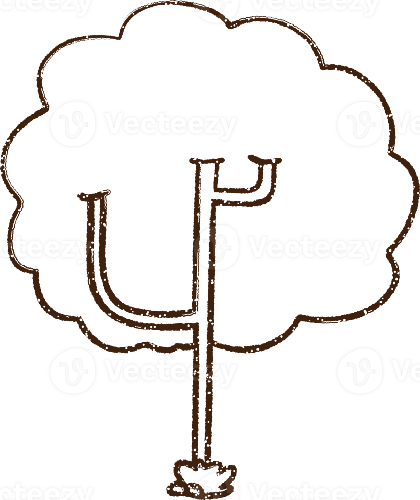 Tree Charcoal Drawing png