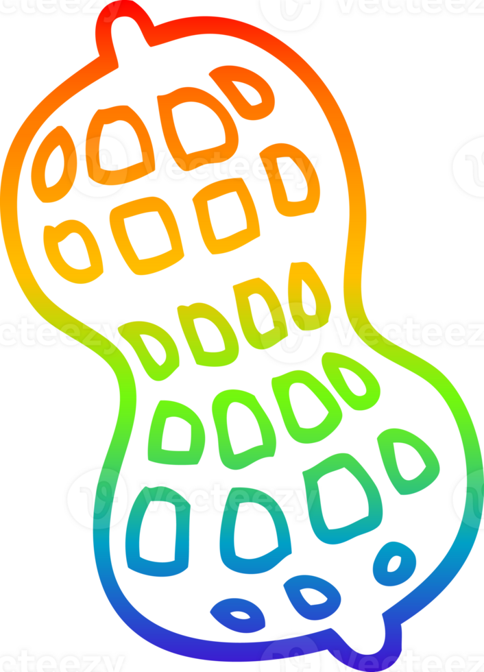 rainbow gradient line drawing cartoon peanut png