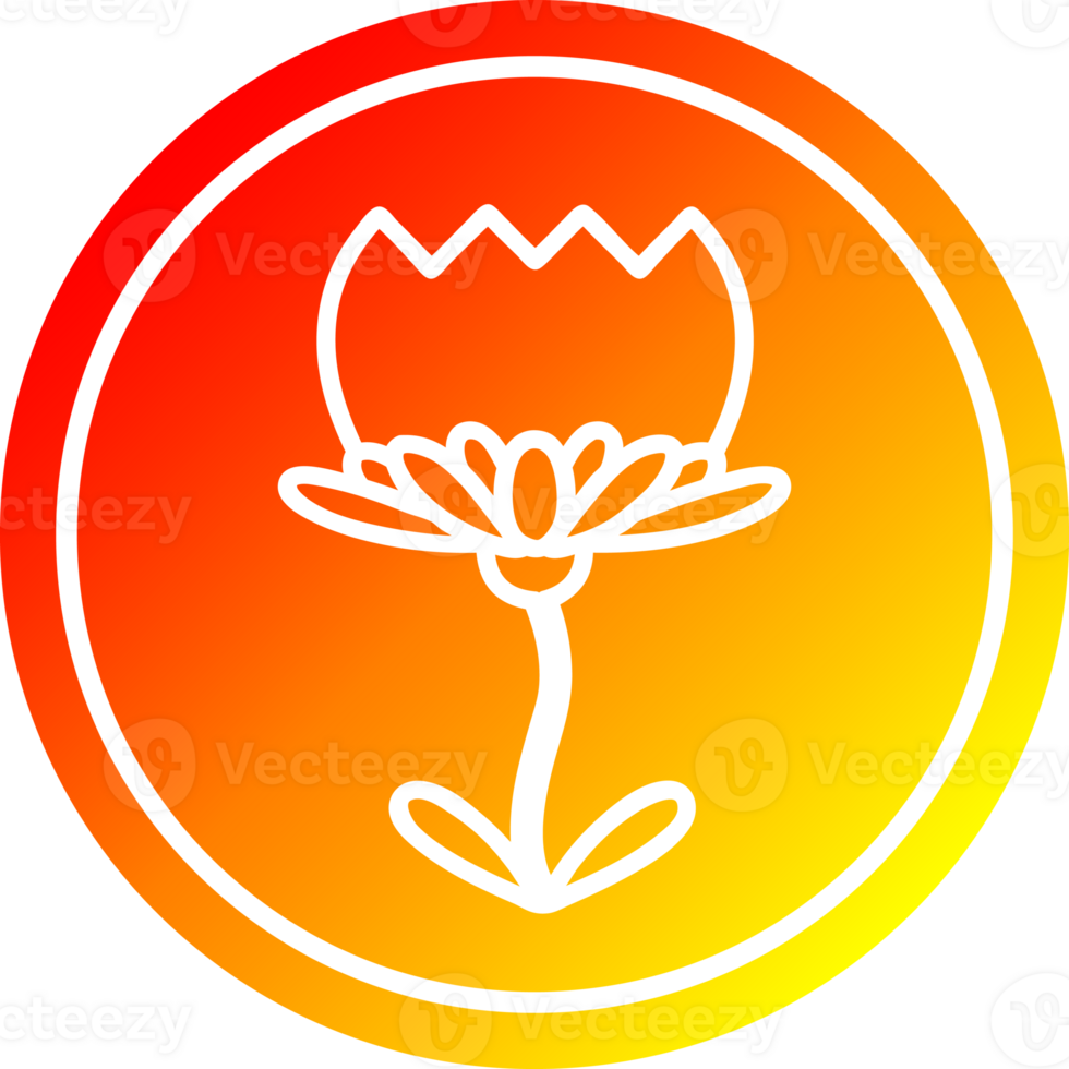 lotus flower circular in hot gradient spectrum png