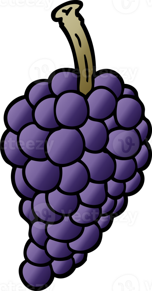 cartoon doodle bunch of grapes png