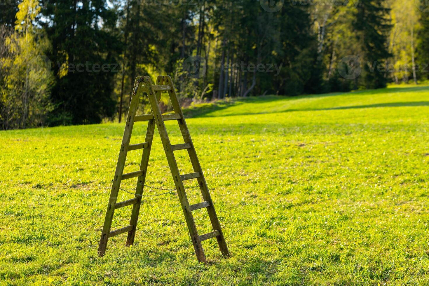 un de madera escalera en un prado en el Brillo Solar foto